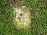 image of grave number 214516